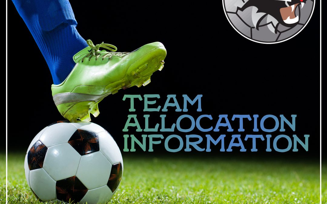 Team Allocation Information